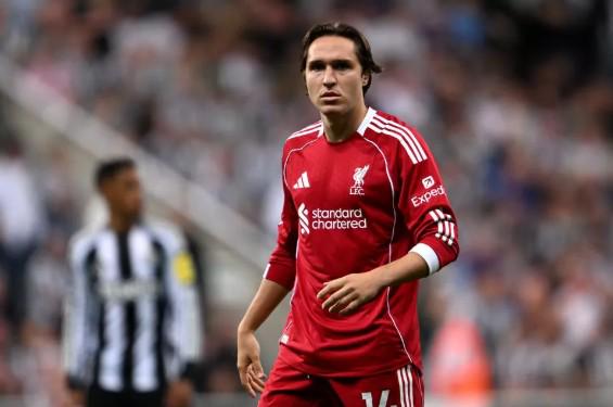 前曼联体育,总监阿什沃,斯重返职场,新葡京,新葡京app,新葡京娱乐,新普京赌场