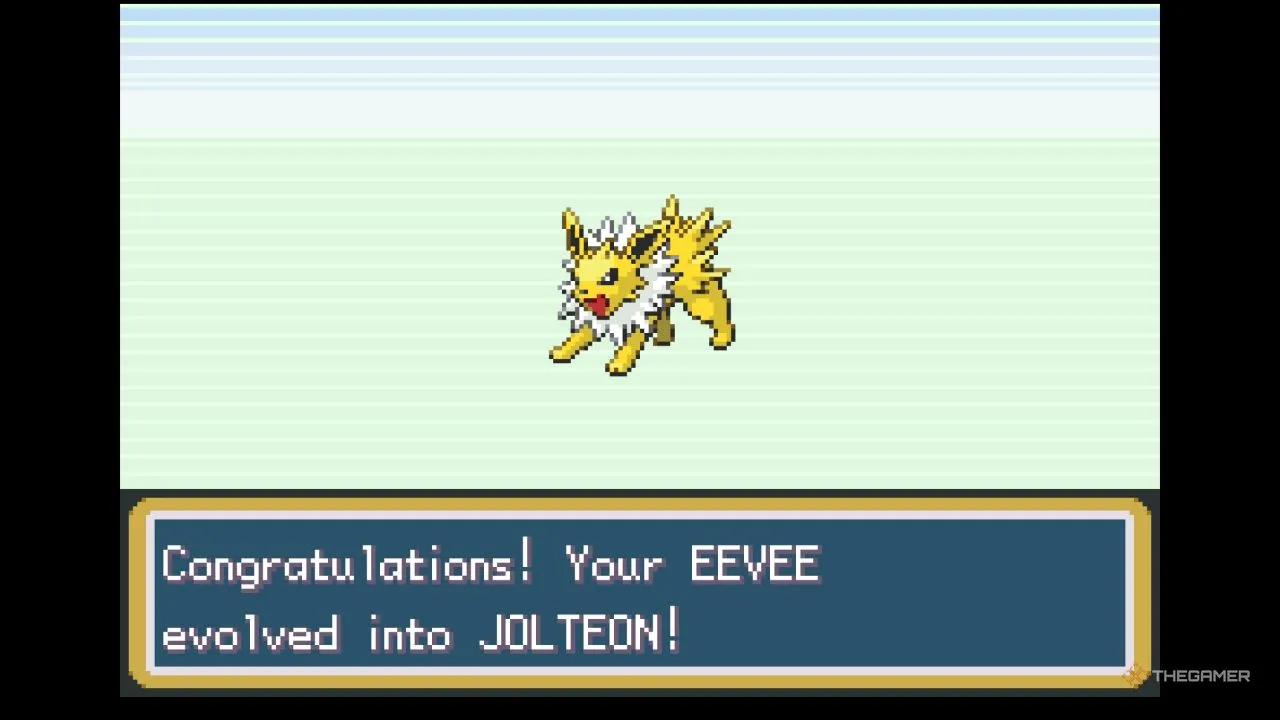 年女性运动,员薪酬榜单,公布,新葡京,新葡京app,新葡京娱乐,新普京赌场