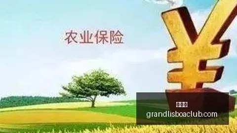 《英雄联盟》新版本英雄亮相，玩家热议新玩法